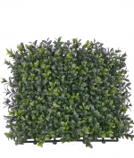 Buxus natural haagelement UVSAFE 25x25cm